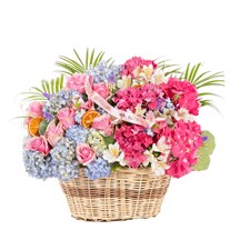 Pastel Carousel Premium Tasarım