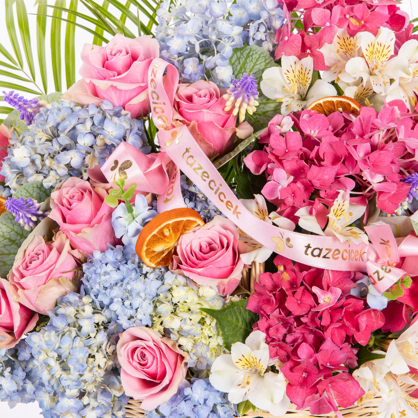 Pastel Carousel Premium Tasarım