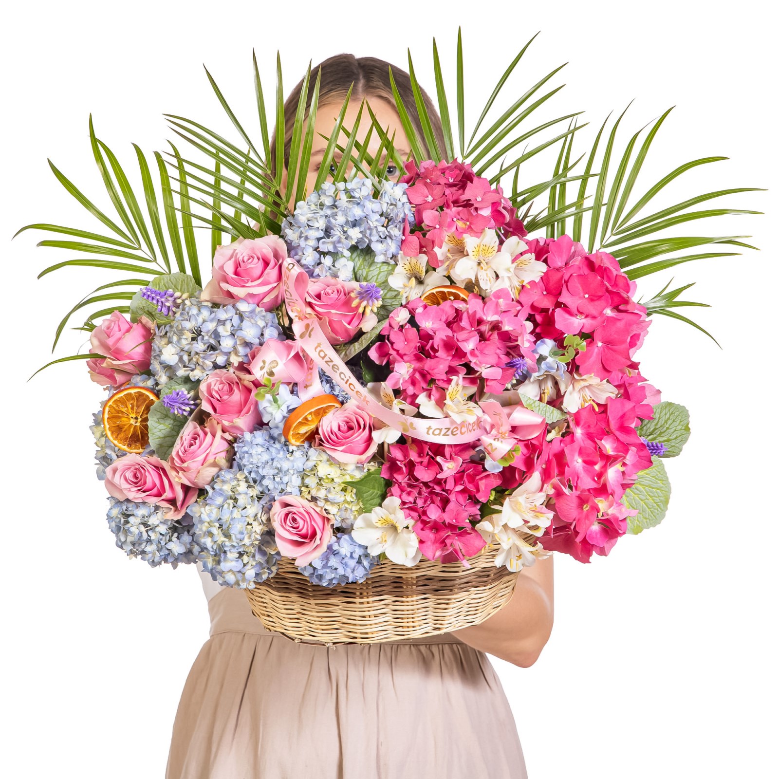Pastel Carousel Premium Tasarım