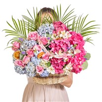 Pastel Carousel Premium Tasarım