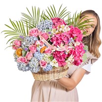 Pastel Carousel Premium Tasarım