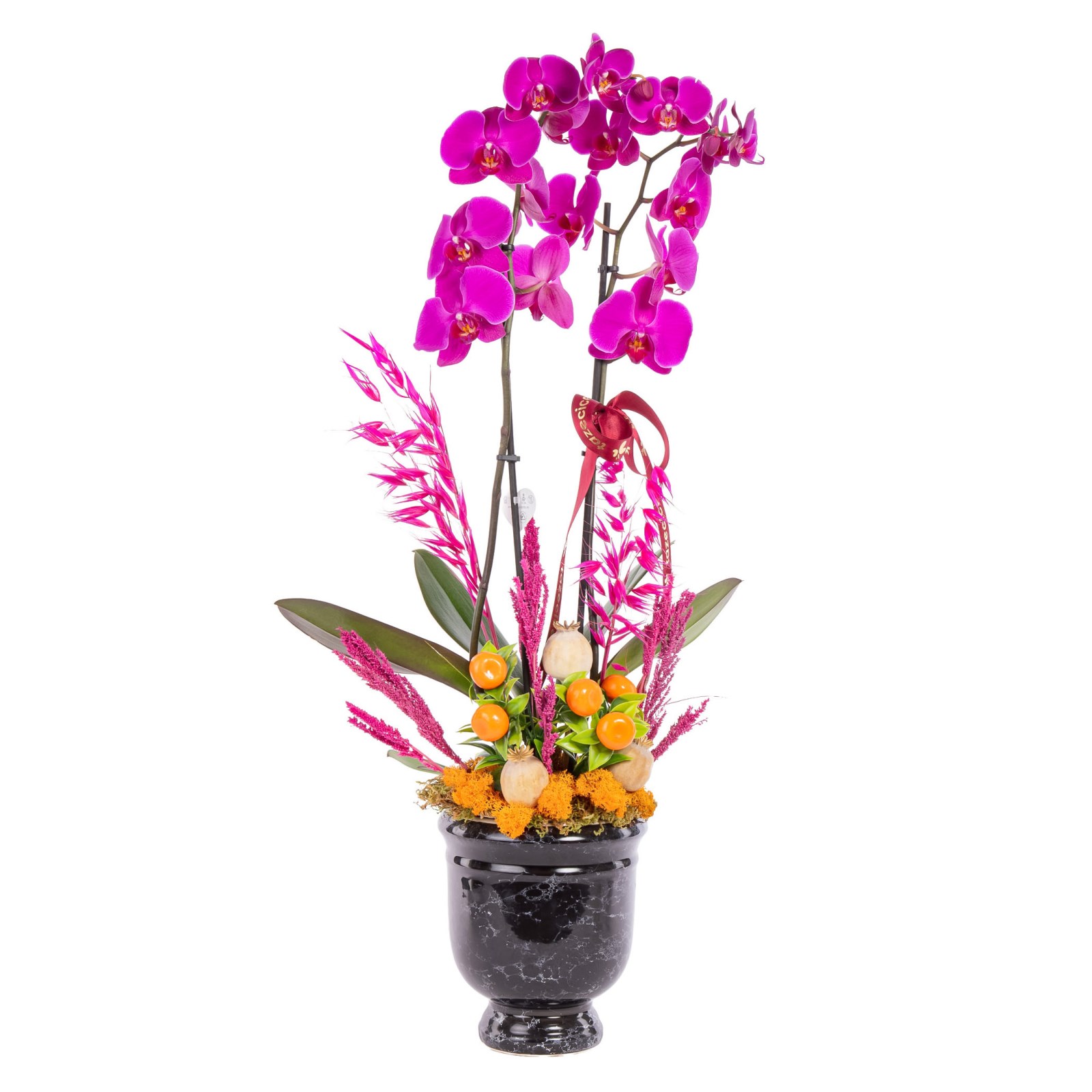 Magenta Empress Fuşya Orkide