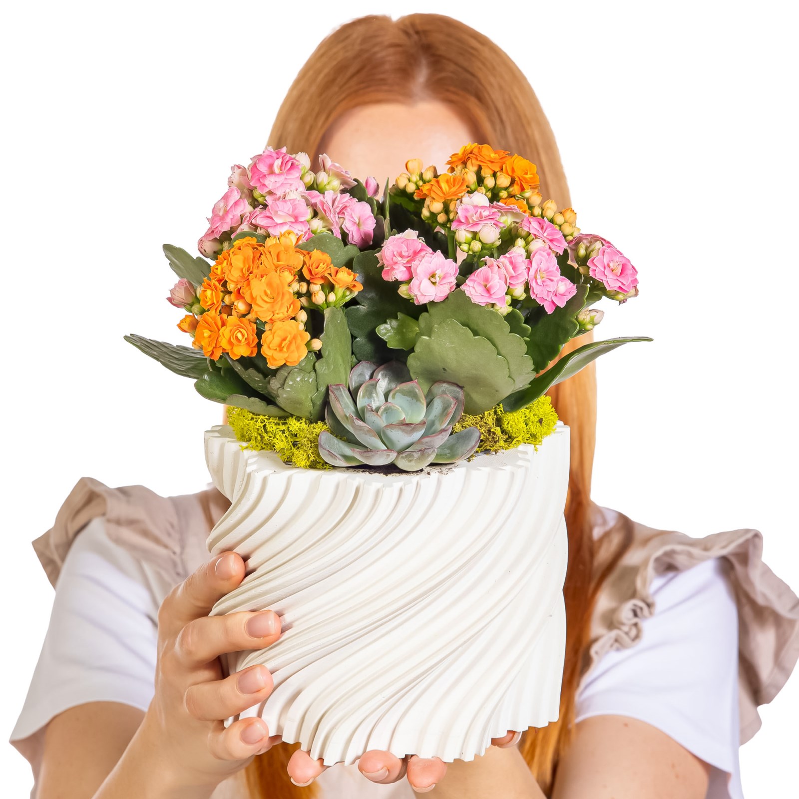 Petal Twist Kalanşo ve Sukulent Aranjmanı