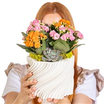 Petal Twist Kalanşo ve Sukulent Aranjmanı
