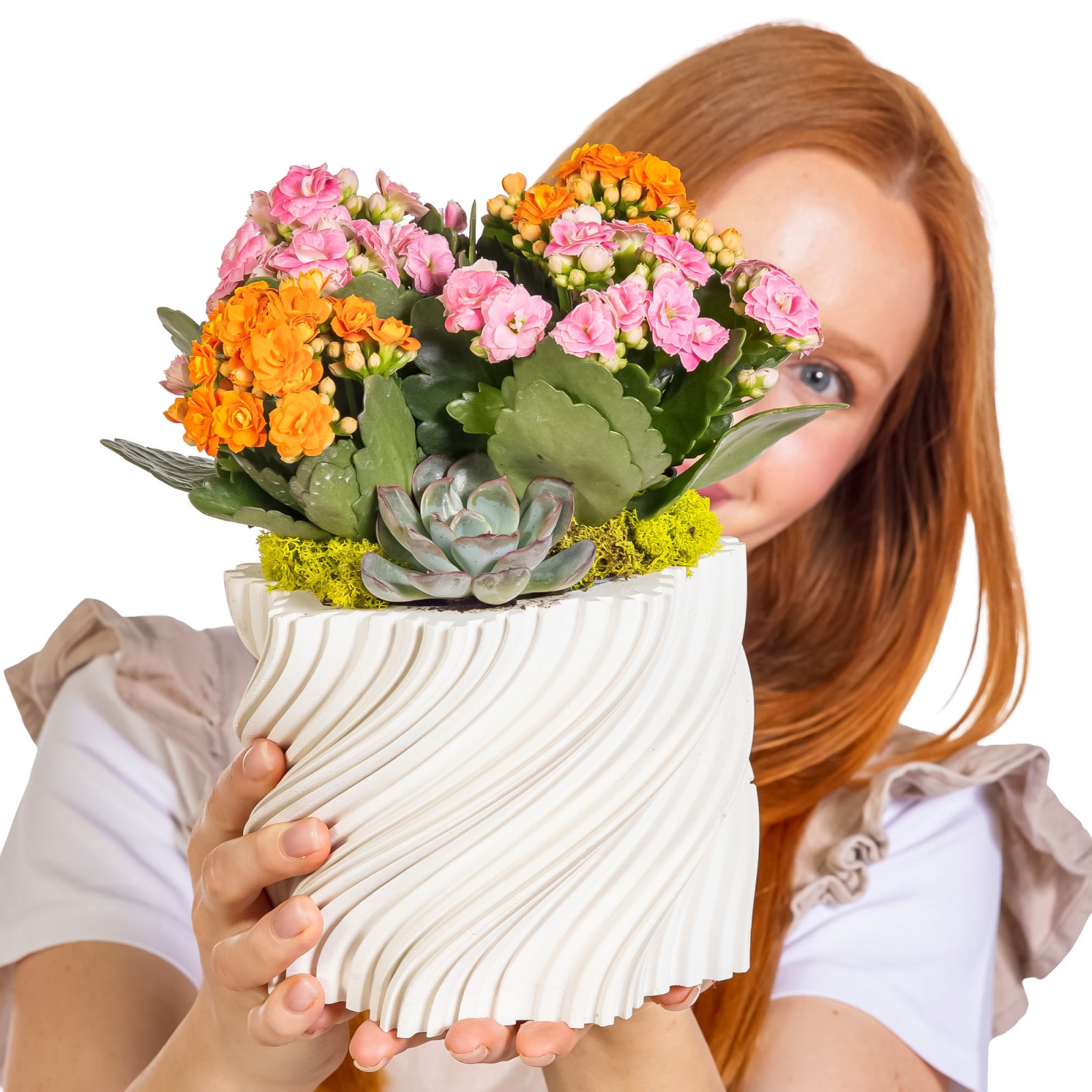 Petal Twist Kalanşo ve Sukulent Aranjmanı