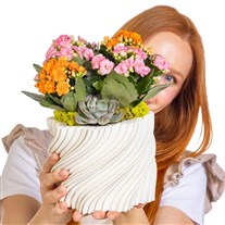 Petal Twist Kalanşo ve Sukulent Aranjmanı