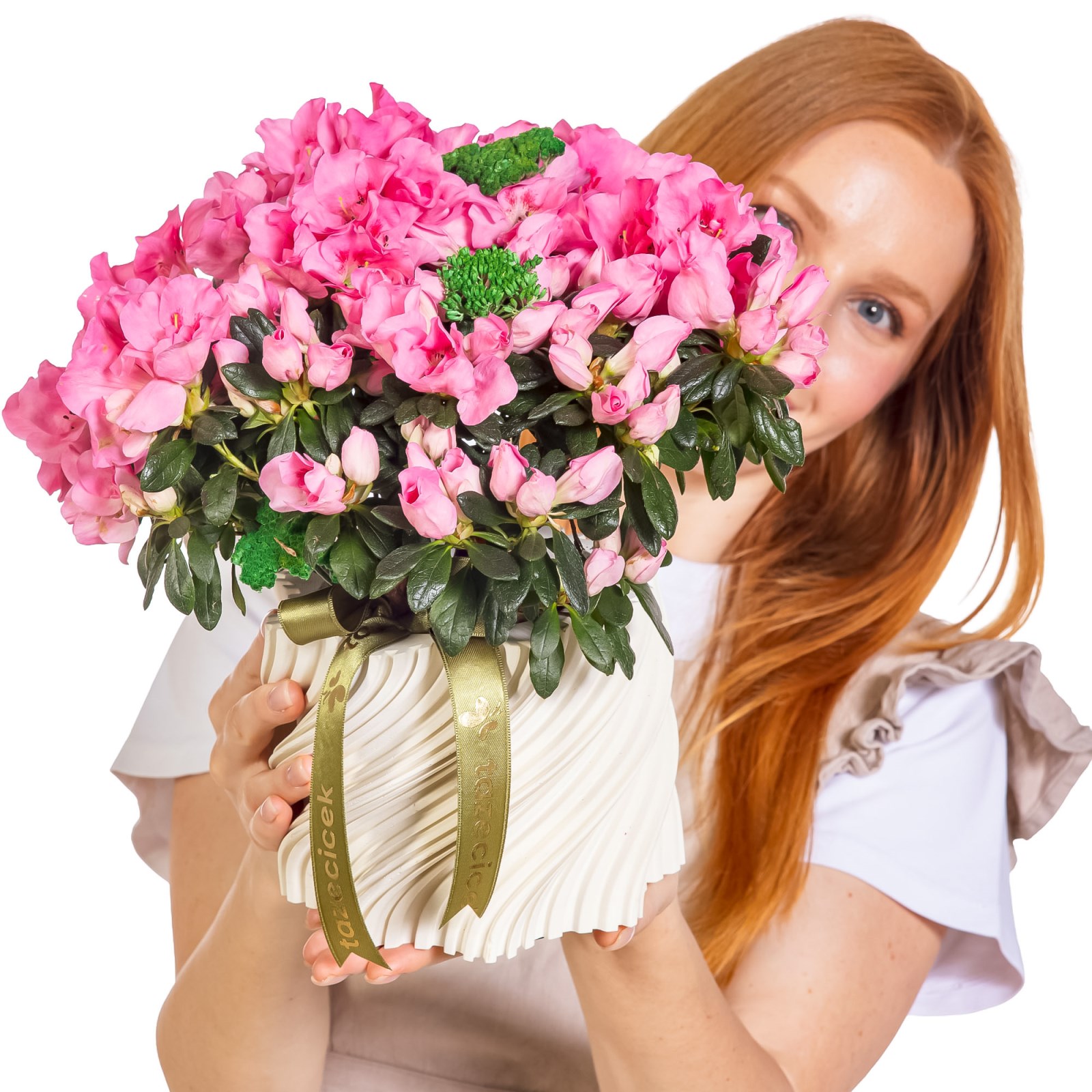 Bella Rosa Saksıda Pembe Açelya