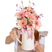 Powder Pink Gerberalar