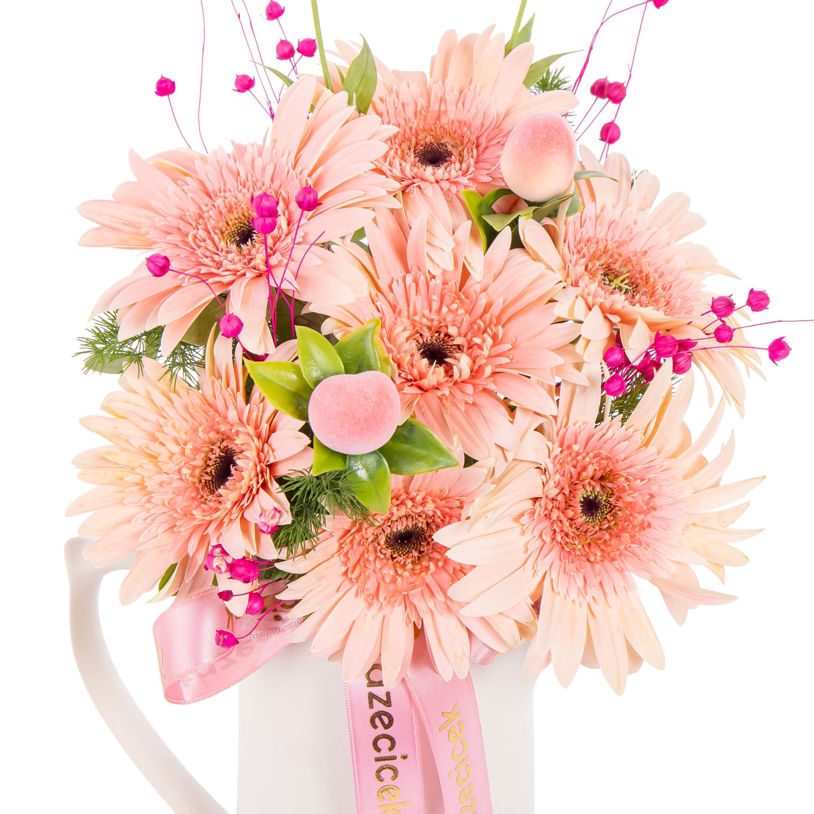 Powder Pink Gerberalar