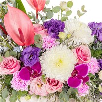Aurora Bloom Arrangement Çiçek Aranjmanı
