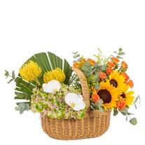 Soleil Tropical Basket Çiçek Aranjmanı