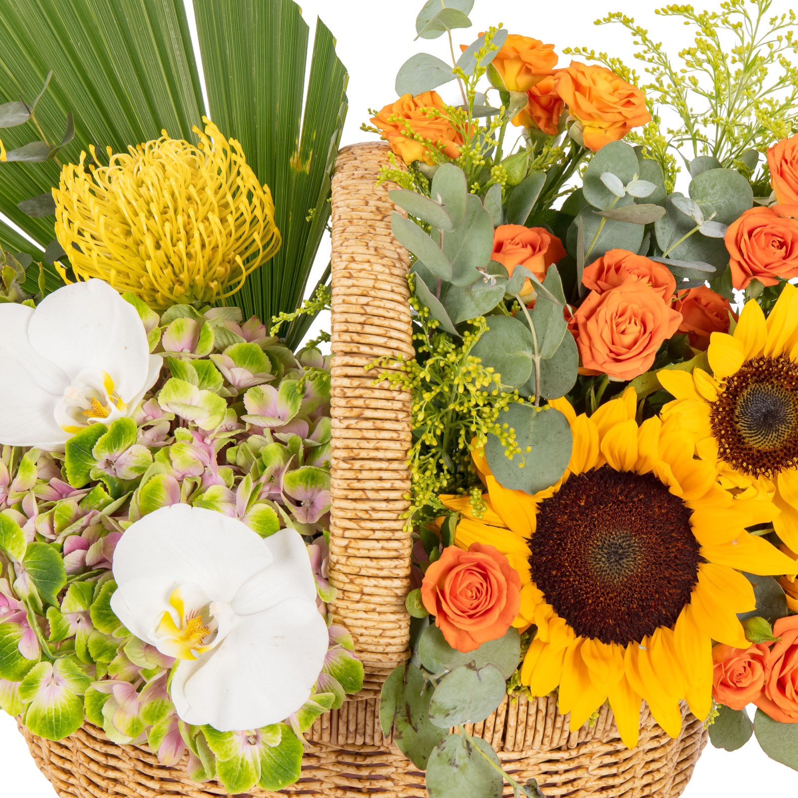 Soleil Tropical Basket Çiçek Aranjmanı