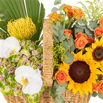 Soleil Tropical Basket Çiçek Aranjmanı