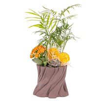 Tropic Wood Sukulent Aranjmanı