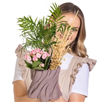 Chamaedorea Blossom Kalanşo Aranjmanı