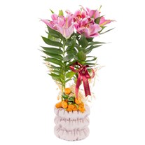 Velvet Ribbon Seramikte Lilyum