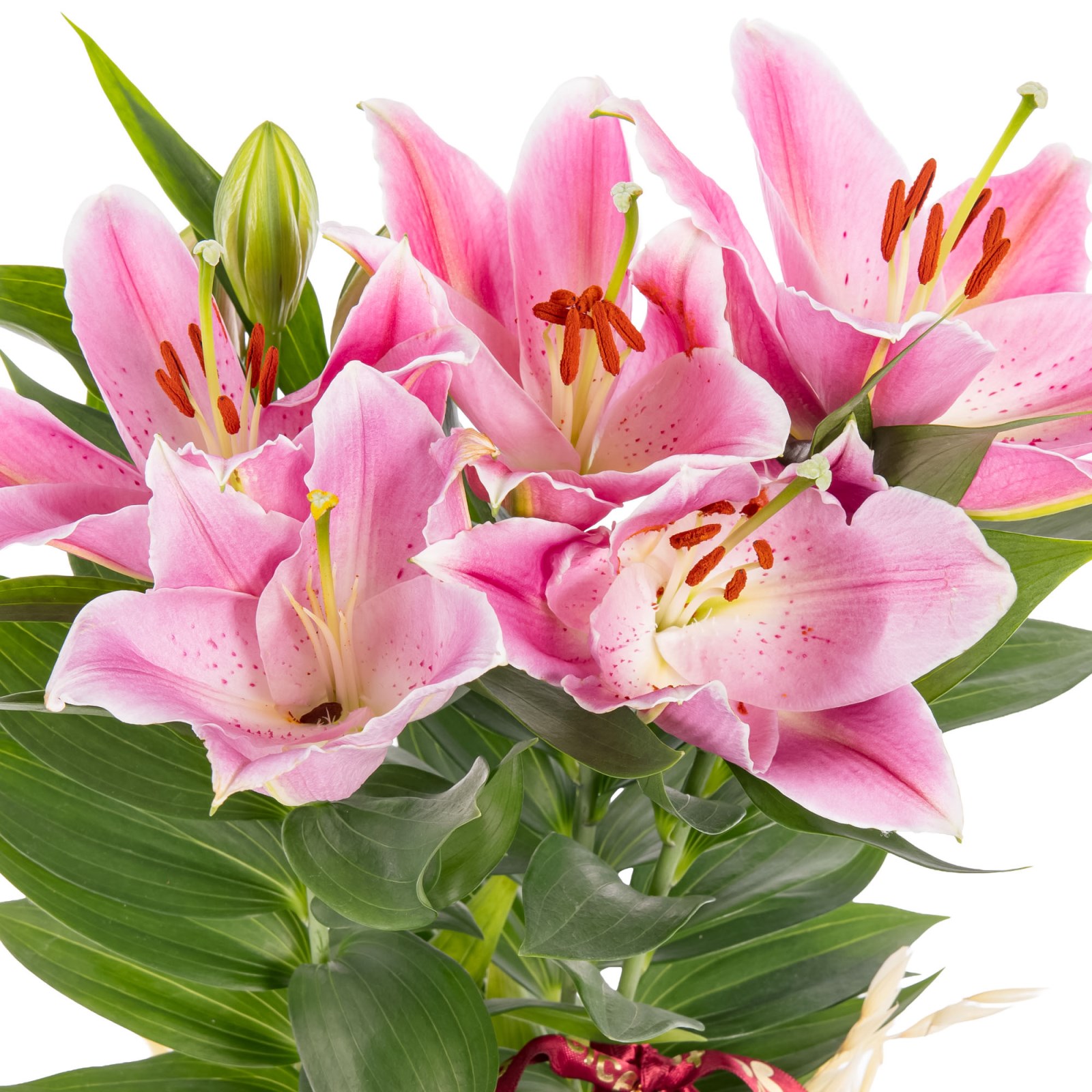 Velvet Ribbon Seramikte Lilyum