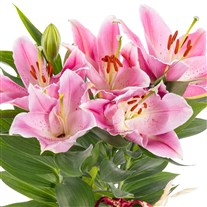 Velvet Ribbon Seramikte Lilyum