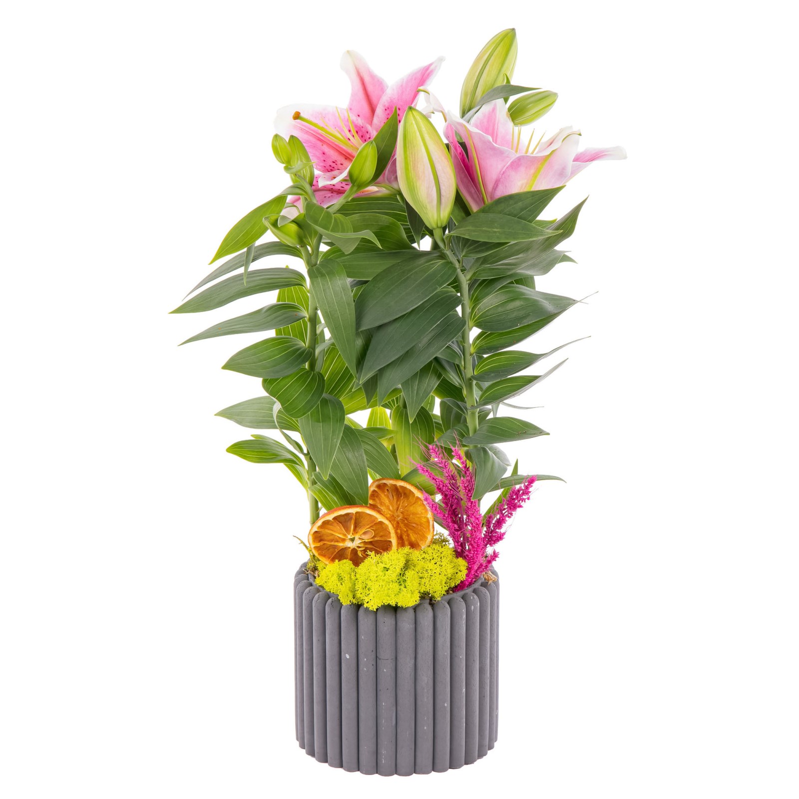 Grey Velvet Lilyum Aranjmanı
