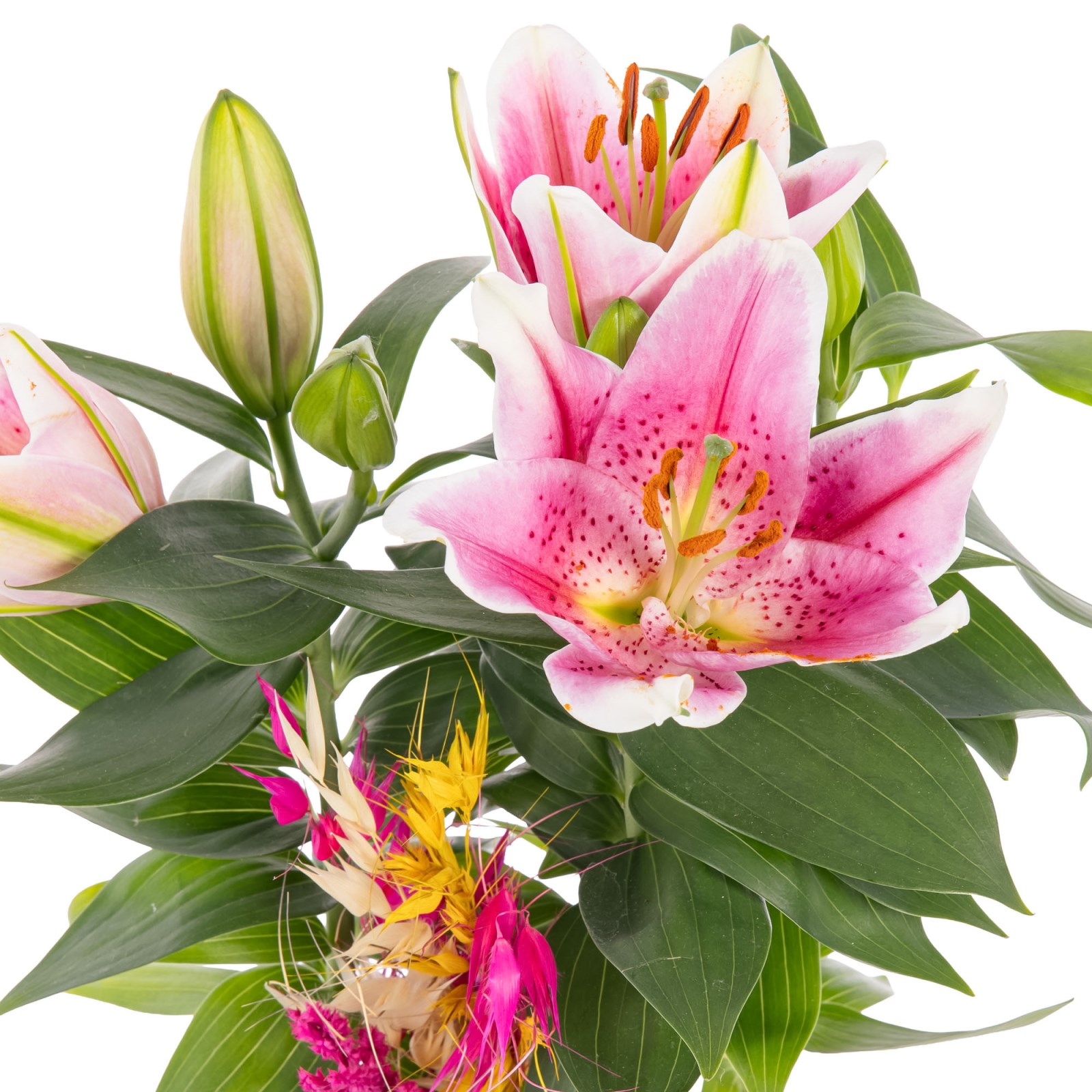 Boho Pink Lilyum Aranjmanı