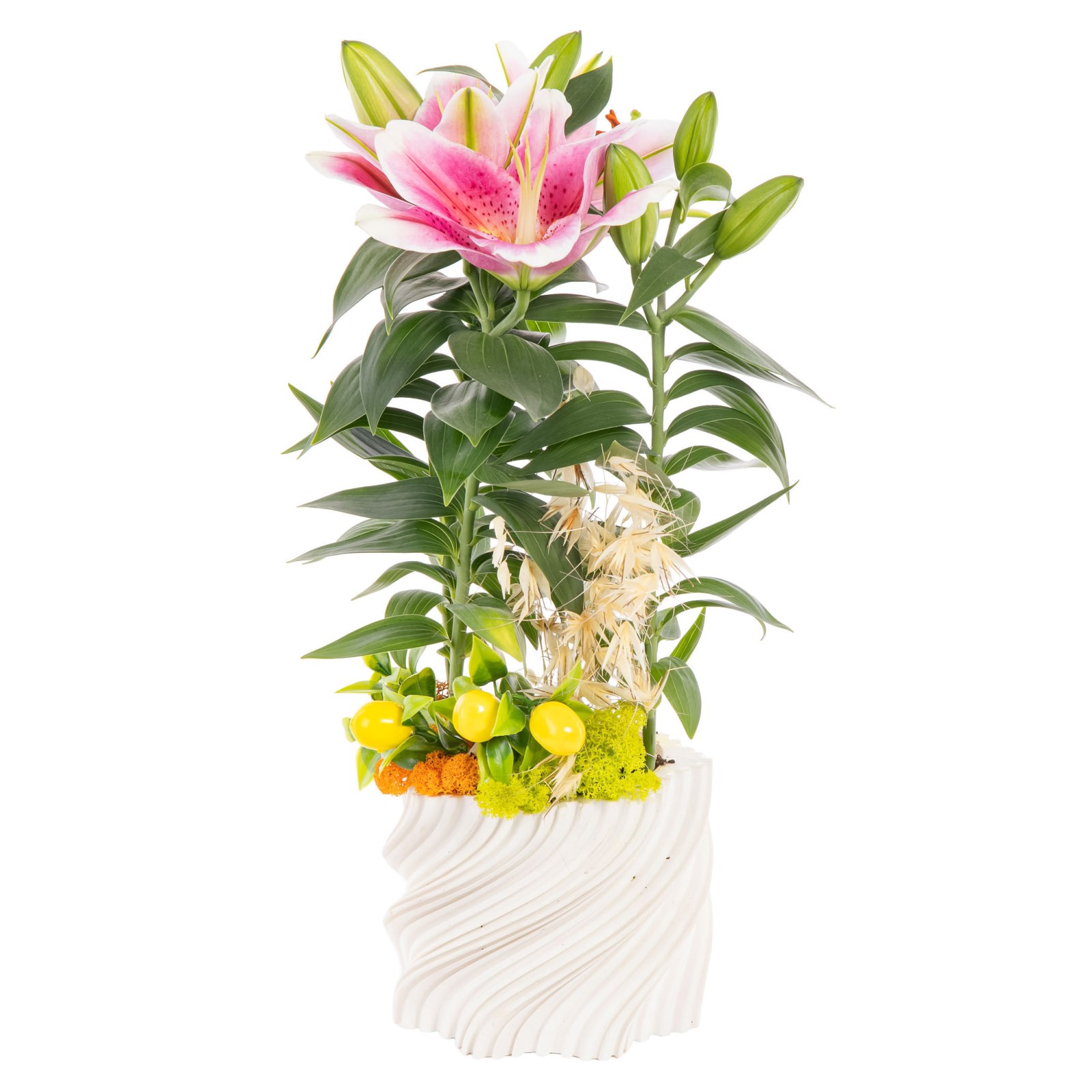 Juicy Wave Seramikte Lilyum