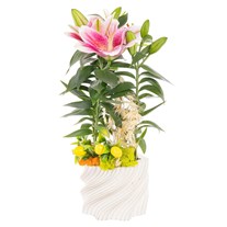 Juicy Wave Seramikte Lilyum
