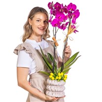 Royal Berry Seramikte Orkide