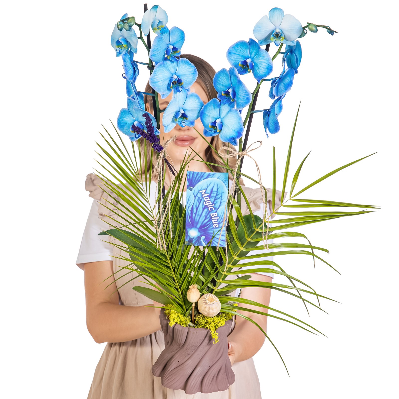 Indigo Forest Mavi Orkide