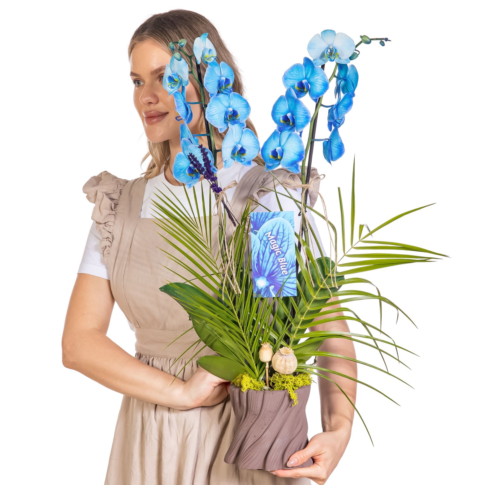 Indigo Forest Mavi Orkide
