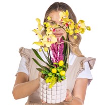 Saffron Grid Seramikte Orkide