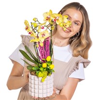 Saffron Grid Seramikte Orkide