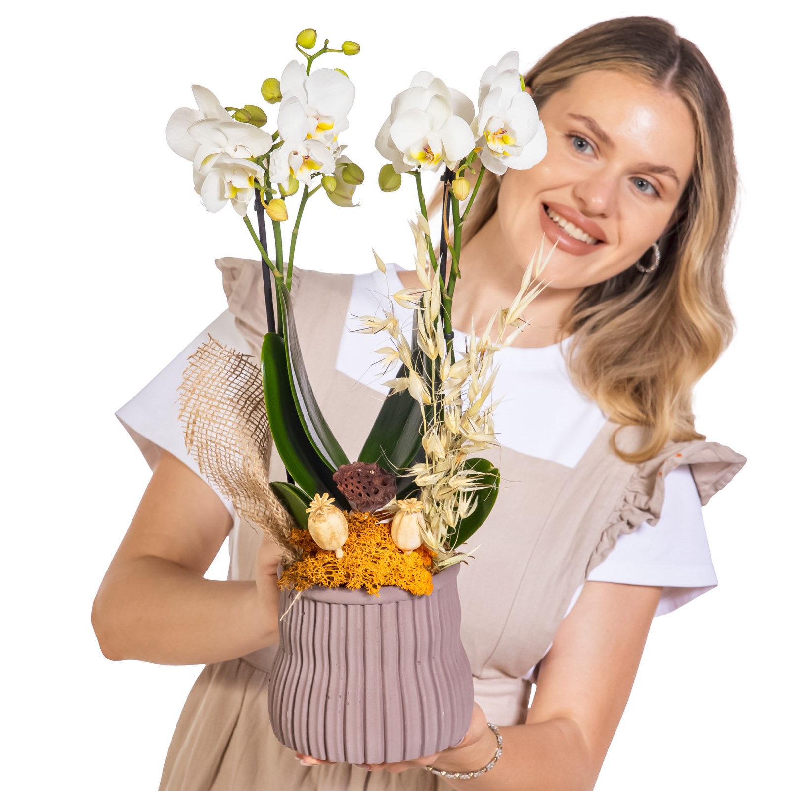 Pure Linen Çift Dal Orkide