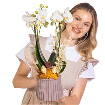 Pure Linen Çift Dal Orkide