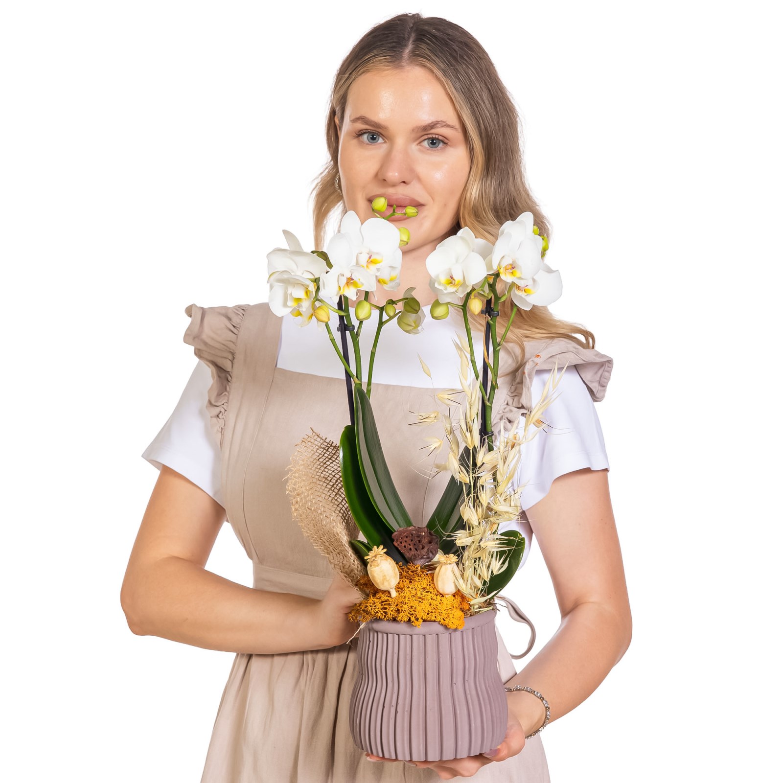 Pure Linen Çift Dal Orkide