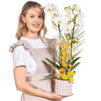 Olive White Seramikte Orkide