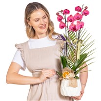 Khaki Peach Seramikte Orkide