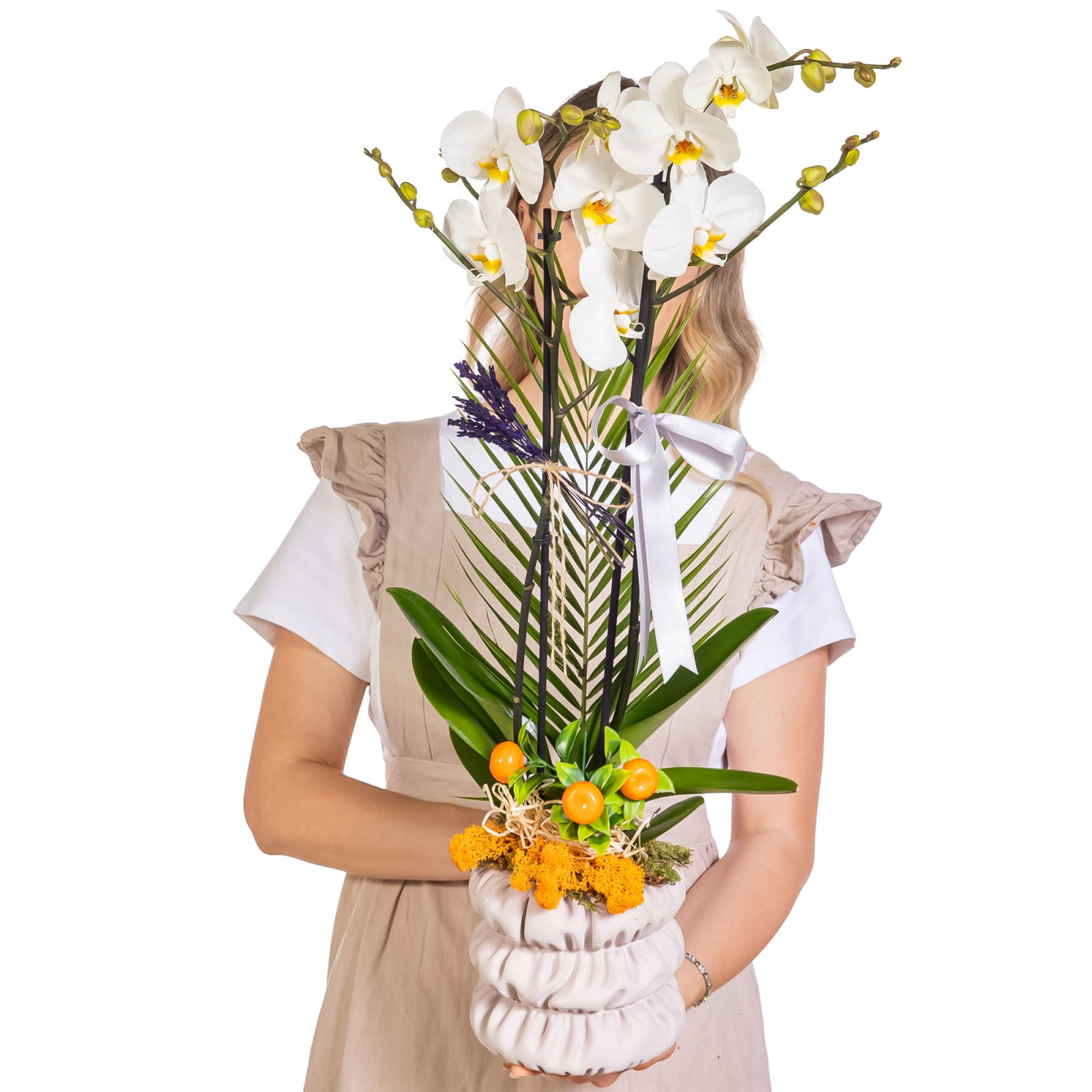Silver Ribbon Seramikte Orkide