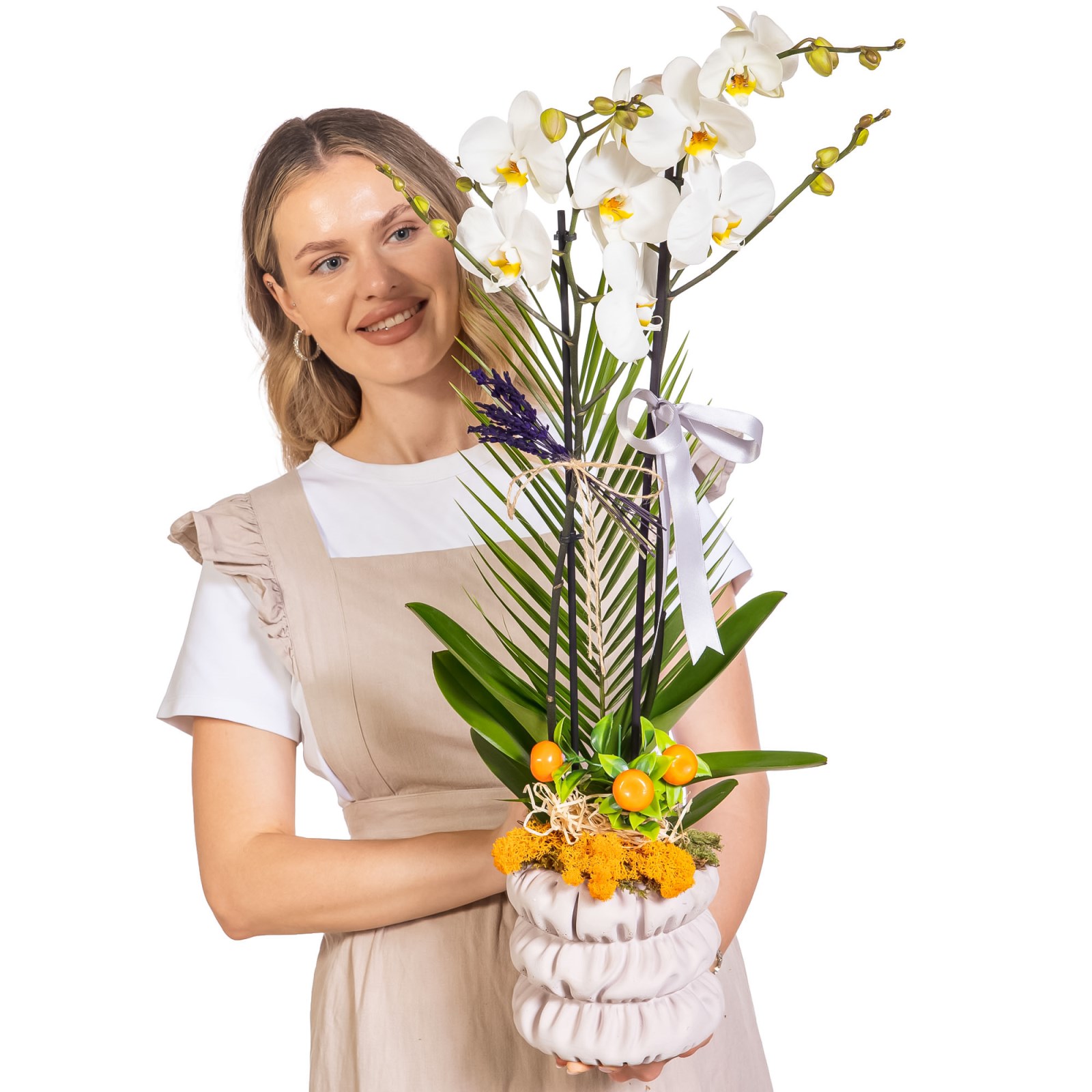 Silver Ribbon Seramikte Orkide