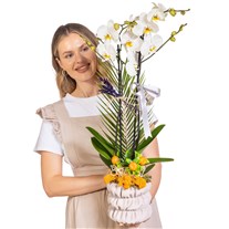 Silver Ribbon Seramikte Orkide