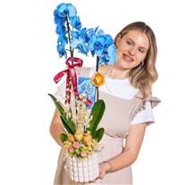 Royal Blue Seramikte Orkide