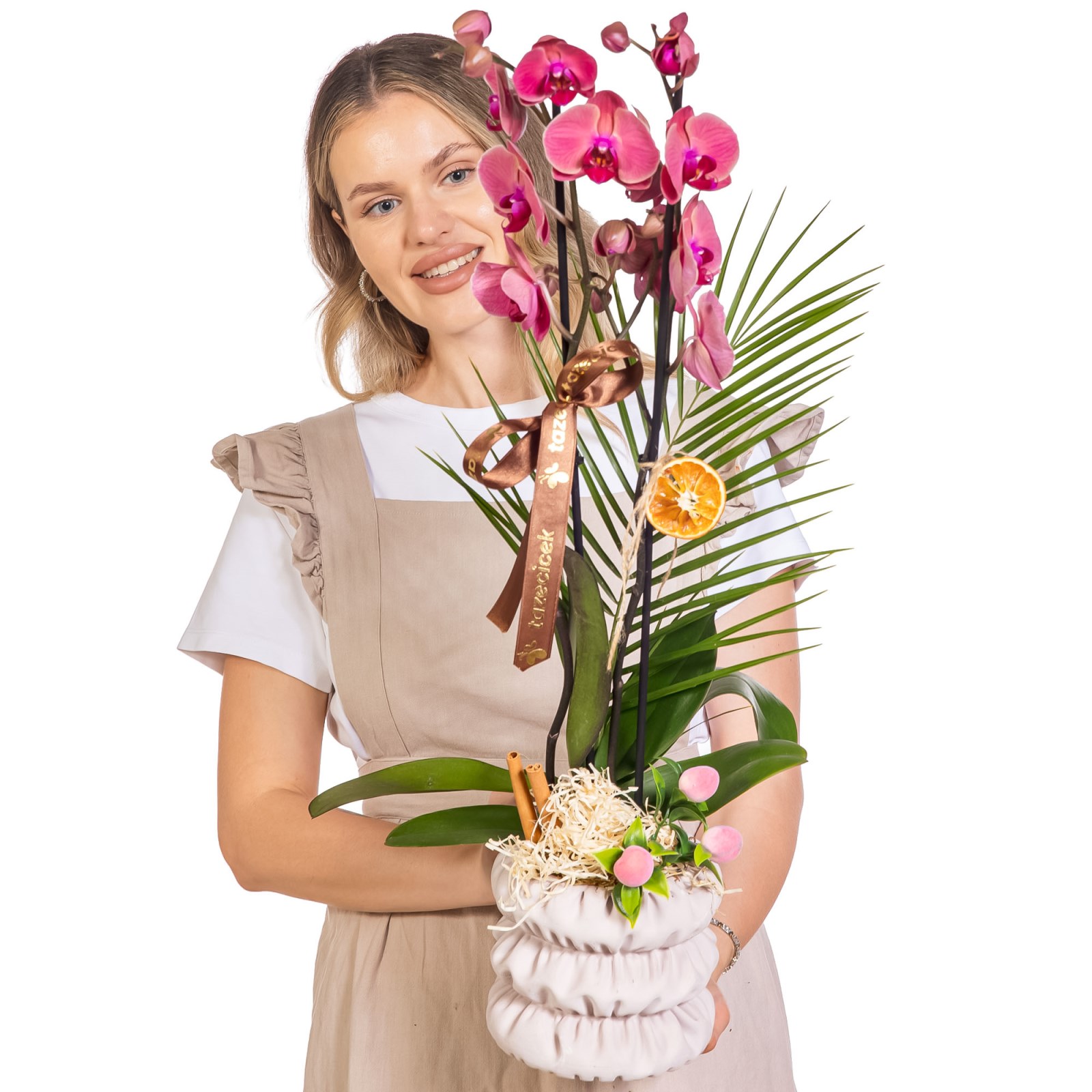 Cinnamon Blush Seramikte Orkide