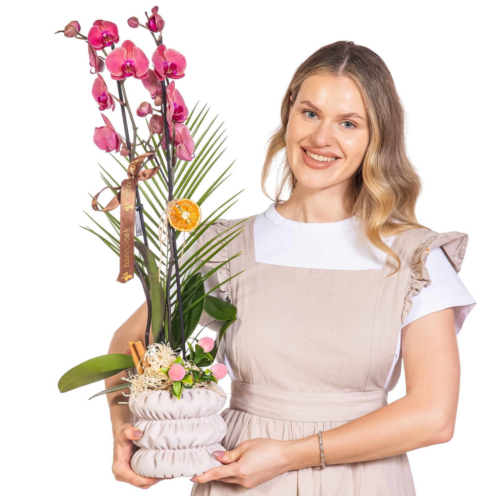 Cinnamon Blush Seramikte Orkide