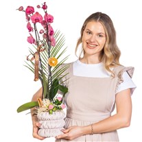Cinnamon Blush Seramikte Orkide