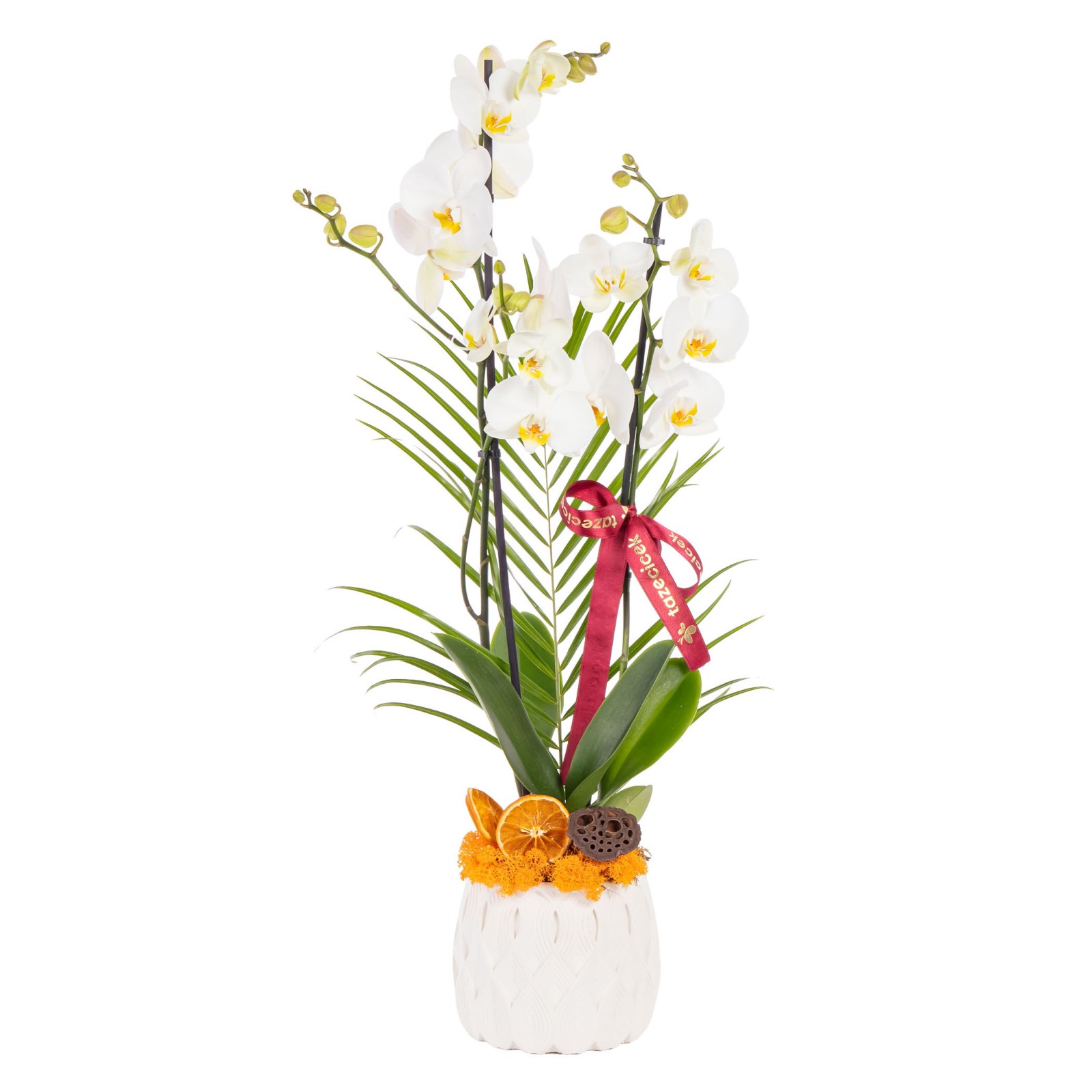 Pure Motif Seramikte Orkide