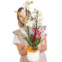 Pure Motif Seramikte Orkide