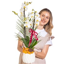 Pure Motif Seramikte Orkide