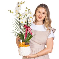 Pure Motif Seramikte Orkide