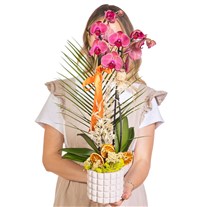 Sunset Ribbon Seramikte Orkide