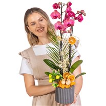 Concrete Bloom Seramikte Orkide