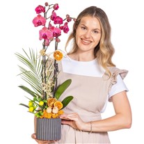 Concrete Bloom Seramikte Orkide